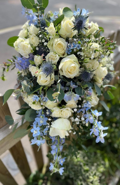 berry blooms