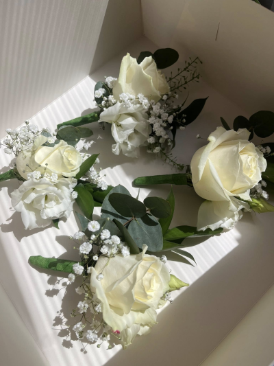 berry blooms