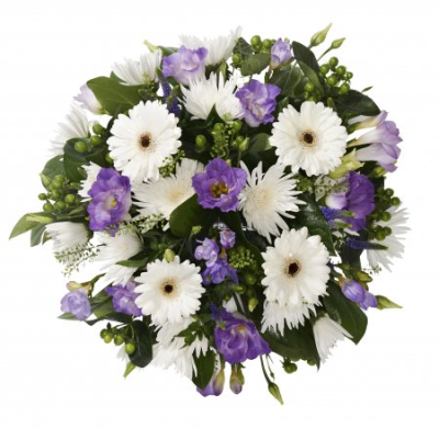 Purple Posy - Purple and white arrangement of seasonal flowers.